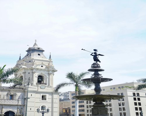 Persona descansando en un parque de Lima